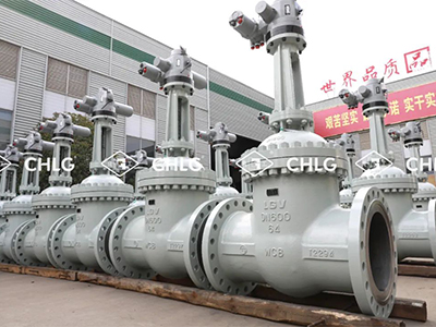 品牌的价值和使命-鸿运国际集团文化专题纪录片